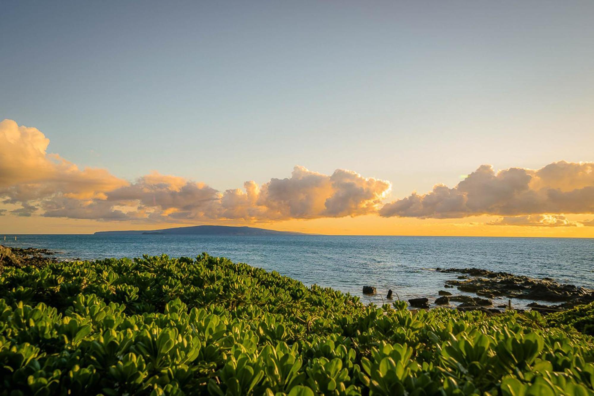 Апартаменты Kihei Akahi C-513 Уэйлея Экстерьер фото